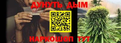 сатива Лесосибирск