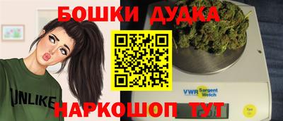 сатива Лесосибирск