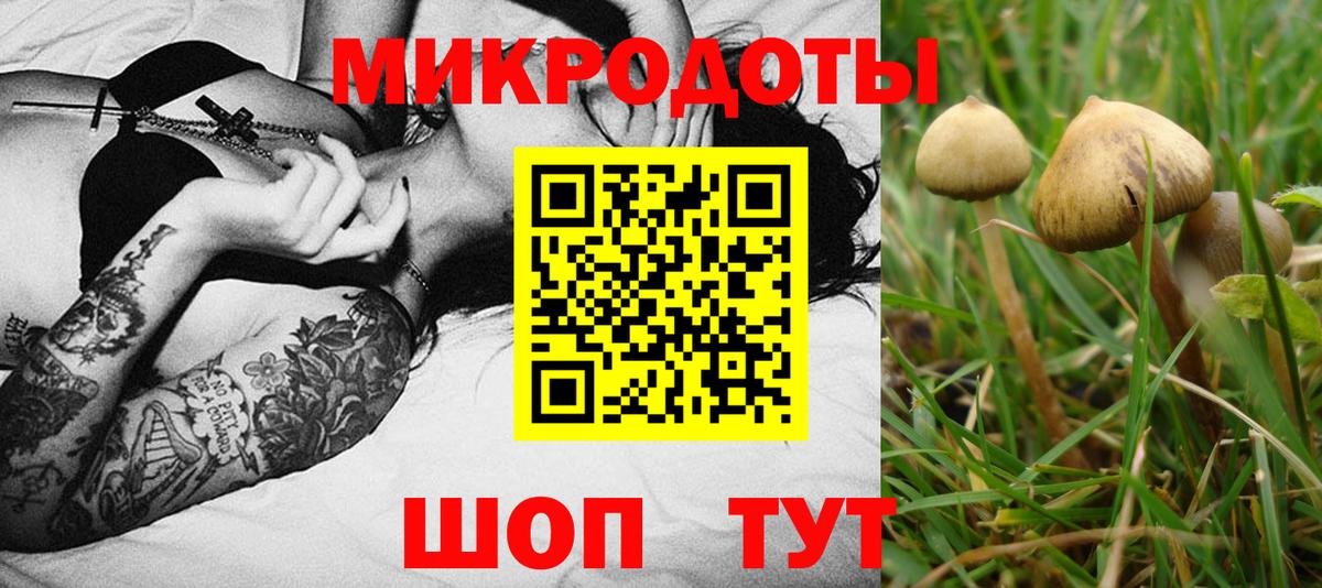 Галлюциногенные грибы мицелий  купить наркотики сайты  Туапсе  Вход с VPN 