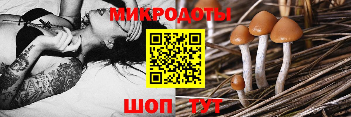 Галлюциногенные грибы GOLDEN TEACHER Туапсе